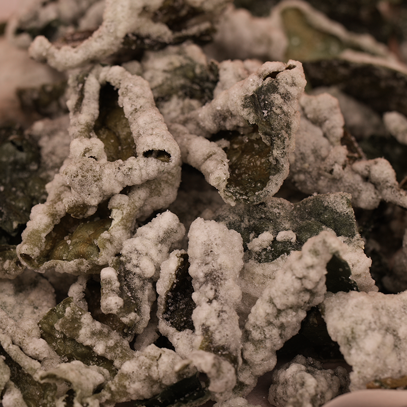 빈이부각,강릉전통부각 빈이부각,강릉전통부각,김부각,다시마부각,부각,강릉부각,고추부각,맛있는밑반찬,맥주안주,아이들반찬,술안주,김튀각,장인의손길,바삭한부각